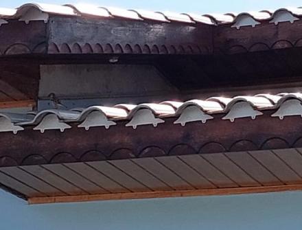 MORCEGUEIRAS em Juruena MT