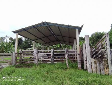 Estruturas Metálicas em Juruena MT